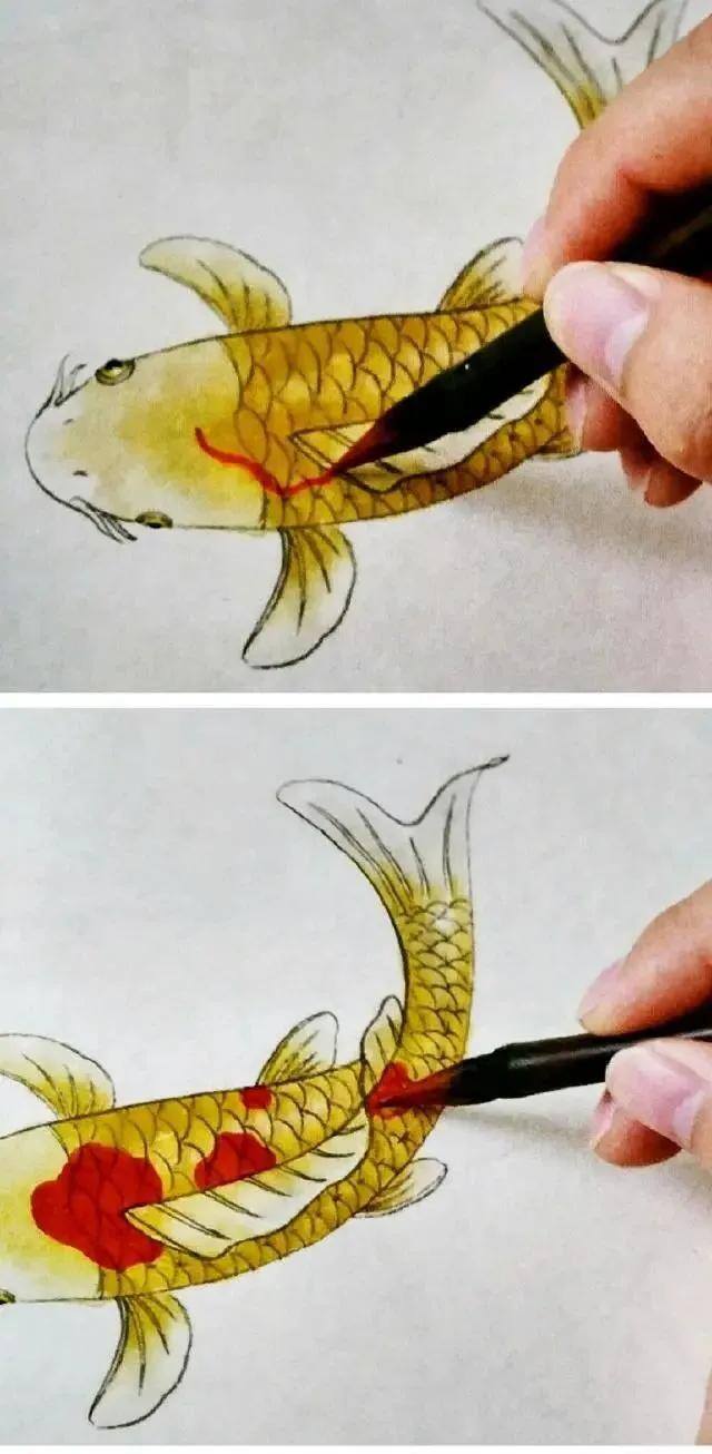 水墨画怎么画简单又漂亮（锦鲤鱼的画法）