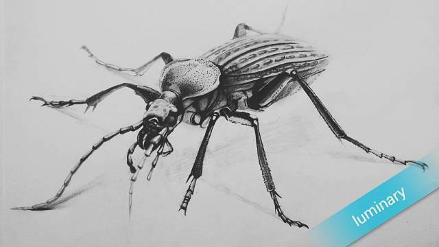 零基础画画（水彩教程｜水彩教程（一））