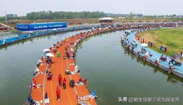 乡下种植什么最赚钱（在农村做废品打包站赚钱吗？）