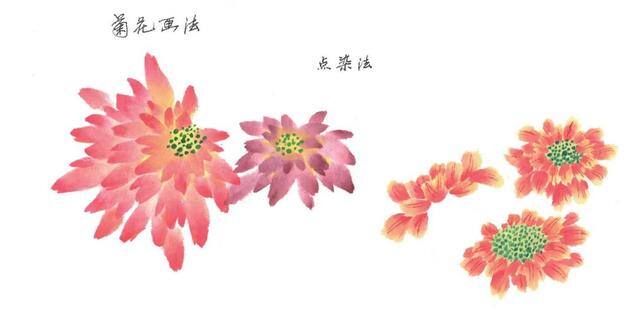 绘画技法教程（菊花的绘画技法）