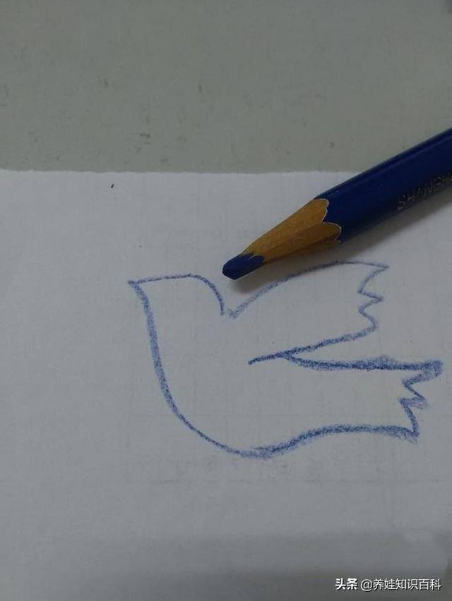 鸽子怎么画简单又好看（和平鸽怎么画？按照这个步骤，一分钟就可以学会）