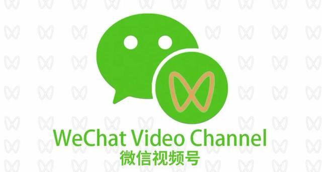 微信运动封面怎么设置（微信「个人专栏」功能全面上线）
