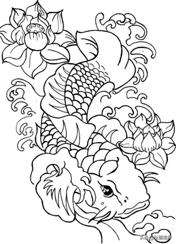 鲤鱼怎么画简单又漂亮（最简单的线条画最美的锦鲤）