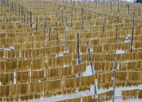 农村种什么最挣钱最快（投资不大，年入十万以上的农村项目）