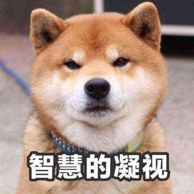 每日签到赚钱8元（爱情银行是怎么赚钱的？）