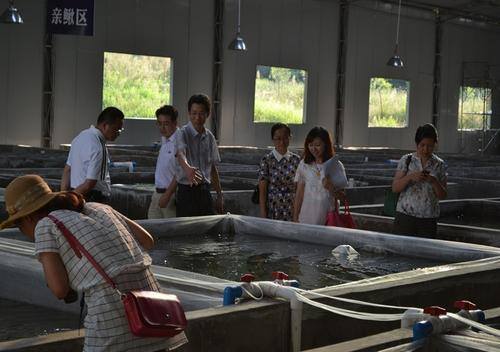 养泥鳅要具备什么条件怎么养（泥鳅养殖利润有多少？）