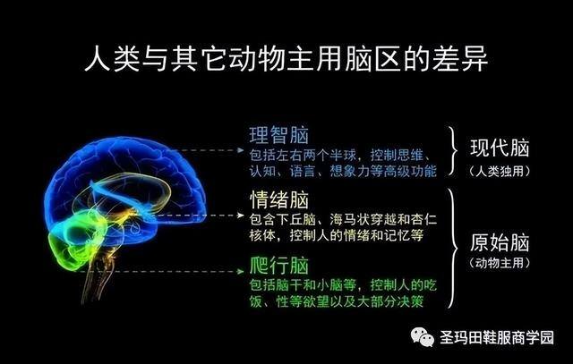 电脑怎么更新（人和计算机有什么区别？）