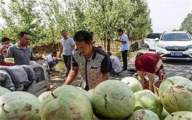 农村适合做什么小生意（在农村做什么生意月入过万？）
