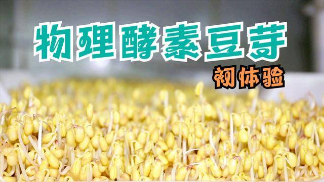新发明致富小机器（“豆芽大王”发明豆芽机，1台机器日产4万斤）