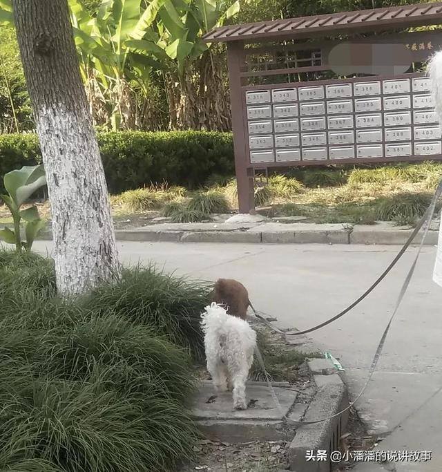 小区开个什么店生意比较好做（疫情期小区的真实记录）