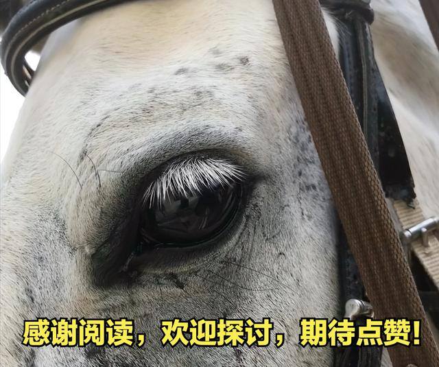 一年挣100万的家庭多吗（胡润报告显示：700万富豪家庭是不是“错觉”？）