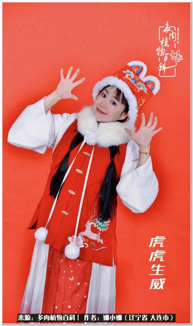 七彩糯糯摆摊挣钱吗（【娜小娜的生活日记】）