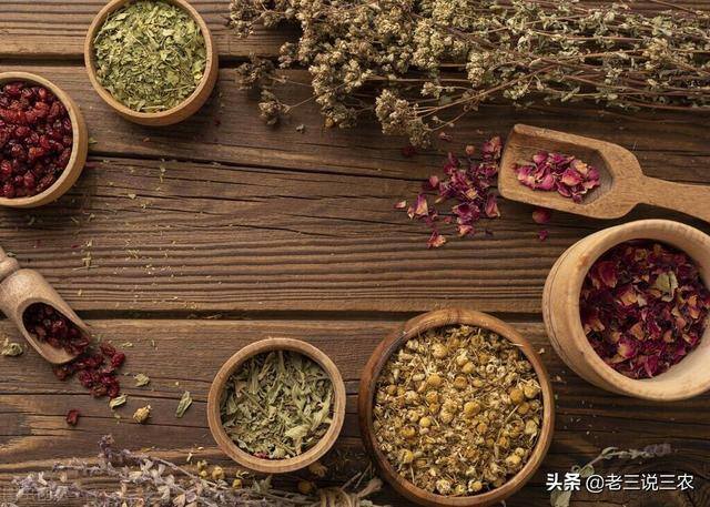 药材种植什么最赚钱找制药厂合作（25年间，他带领村民种柴胡，当归中药材，使村民亩增收8500元）