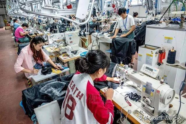 只赚加工费的加工项目（在农村开辣椒制品也是不错的选择）