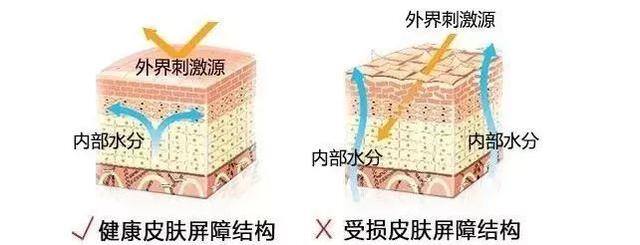 自己在家如何深层补水（皮肤“深层补水”）