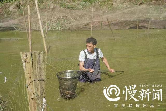 泥鳅养殖合作（“组合拳”给创业者“雪中送炭”）