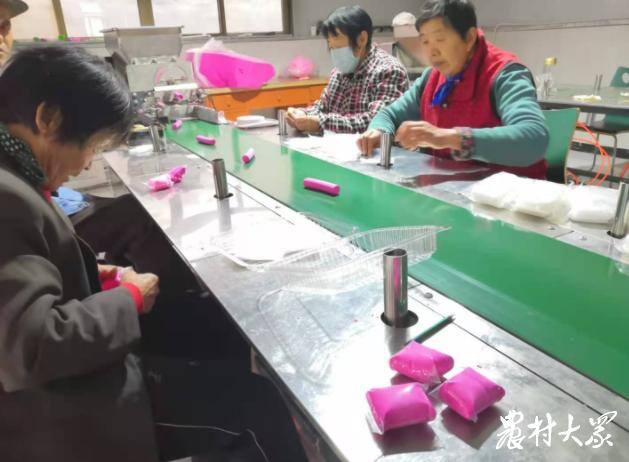 加工厂项目加盟（平阴县人力资源和社会保障局派驻南毛峪村）