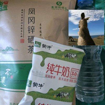 家庭自制奶茶（白糖绿茶的网红做法保准味蕾爆炸）
