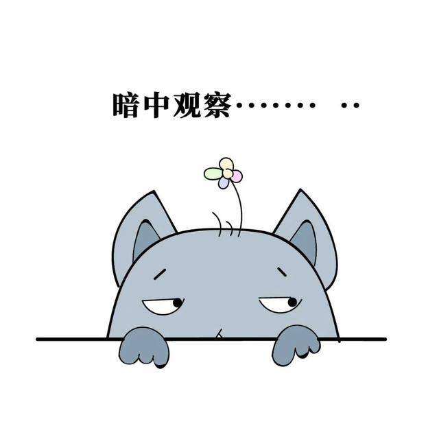 看视频赚钱的软件哪个赚的最多（「净网2019」刷视频赚钱套路多）