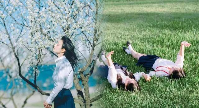 苹果手机拼图软件（无缝拼图神器，你值得拥有！）