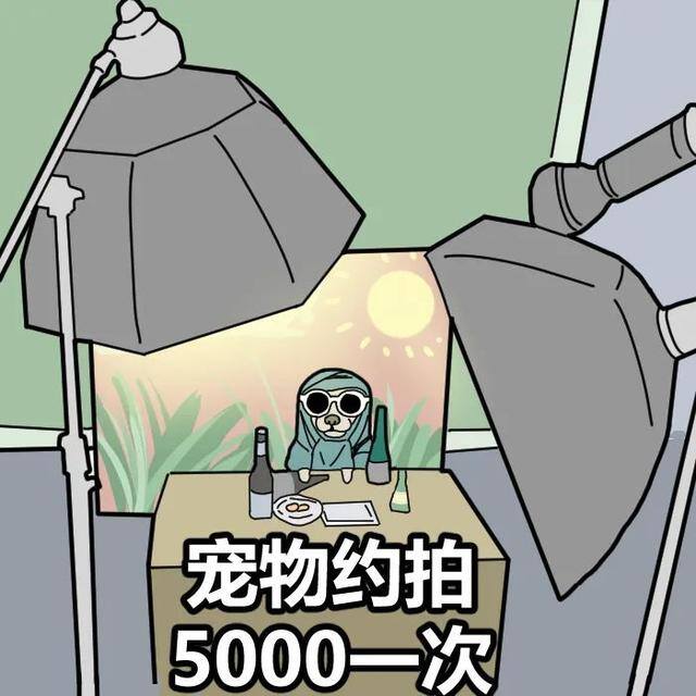 p图赚钱兼职平台（约拍火爆全网，摄影师成了热门）