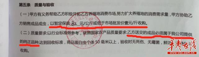 蛋白虫养殖真的挣钱吗（蛋白虫回收价高出市面价，公司亏本回收？）