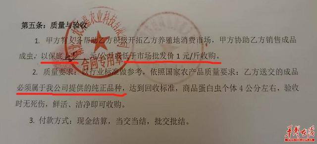 蛋白虫养殖真的挣钱吗（蛋白虫回收价高出市面价，公司亏本回收？）
