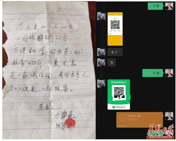 蛋白虫养殖真的挣钱吗（蛋白虫回收价高出市面价，公司亏本回收？）