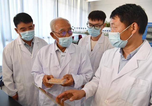 虫客平台988真的可以赚钱吗（程相文：玉米种植者）