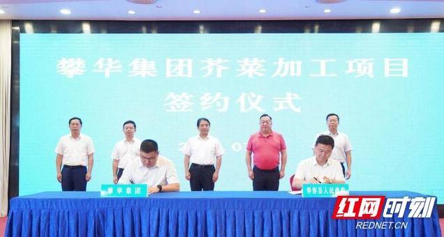寻求代加工项目（华容县与攀华集团芥菜加工项目成功签约）