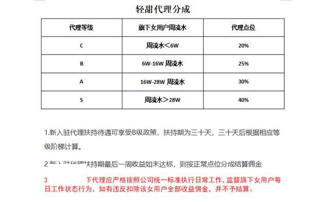 按分钟聊天赚钱的软件（男子欺骗前妻，视频调查被骗）