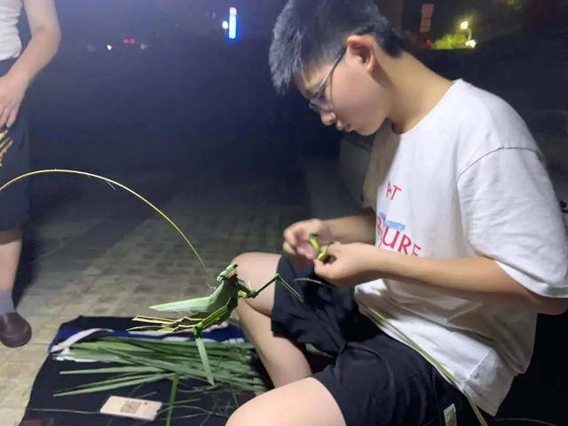 地摊卖什么最火（宁波15岁摆摊少年火了，数万人为他点赞！）