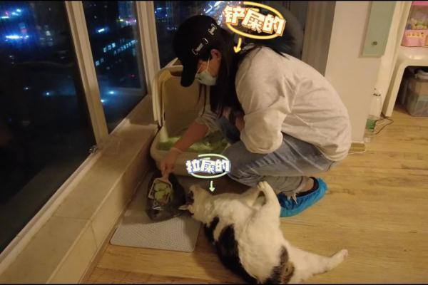 有什么兼职是可以在手机上完成的（国庆出租伴娘赚外快）