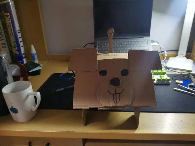 学校周边适合做什么生意（大学操场上的纸板狗）