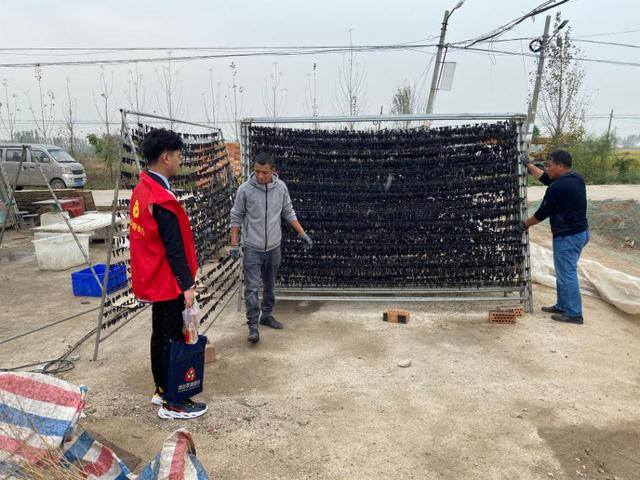 干什么挣钱快（微山农商孙成奎：水蛭养殖的“金元宝”）