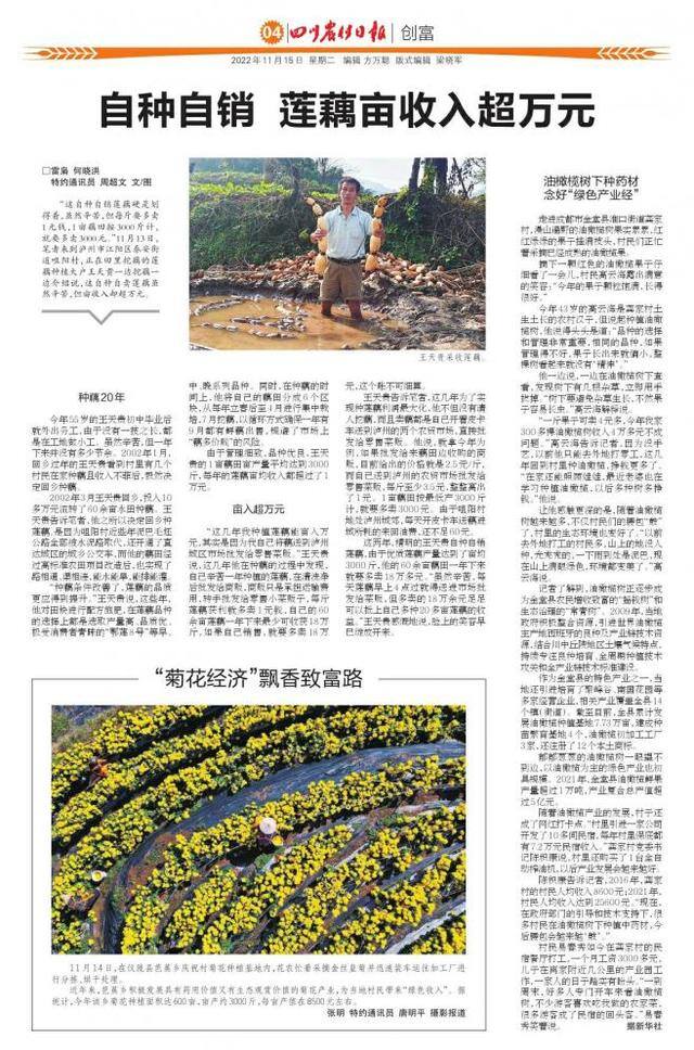 种植业什么最赚钱农村（自种自销莲藕亩收入超万元）