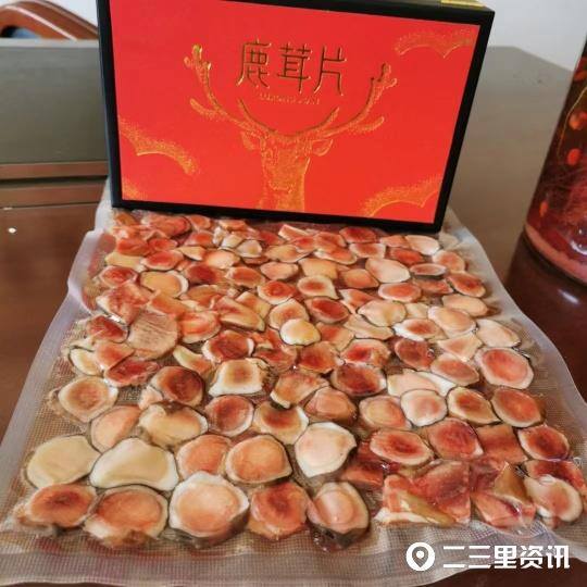 养鹿5只一年能挣多少钱（张绍军：梅花鹿带动乡村振兴）