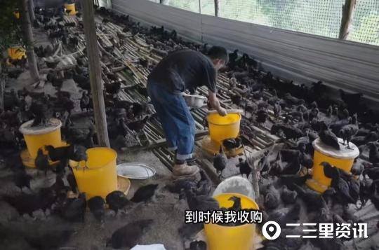 一个人创业能干什么（农村大学生回乡创业养殖“新农格子”）
