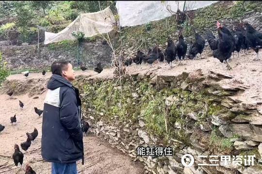 一个人创业能干什么（农村大学生回乡创业养殖“新农格子”）