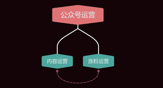 公众号运营方案（公众号运营技巧）