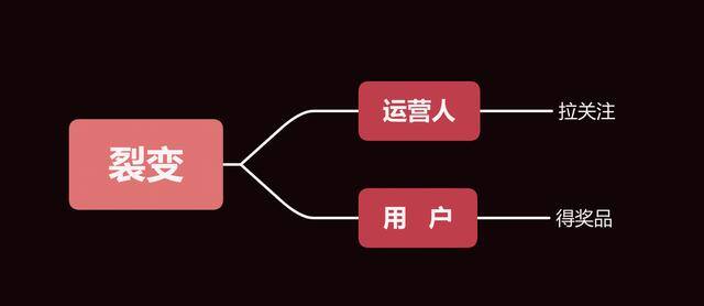 公众号运营方案（公众号运营技巧）