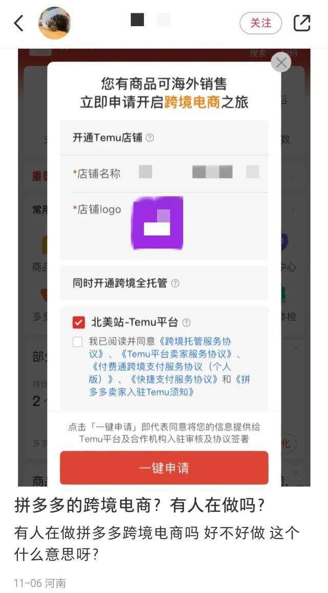 网上卖什么最赚钱（跨境电商temu：拼多多的“低价砍一刀”）