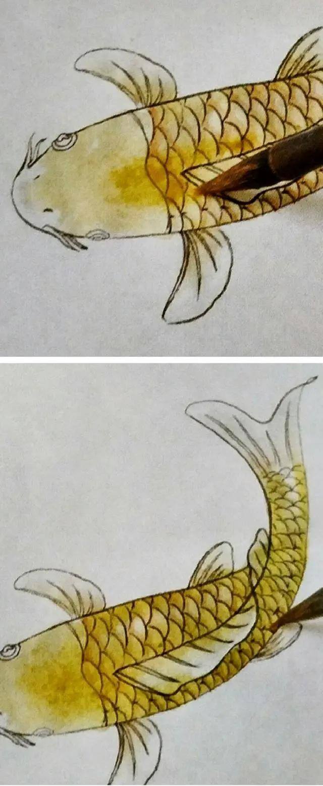 水墨画怎么画简单又漂亮（锦鲤鱼的画法）