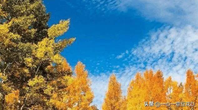 挣钱不容易的句子表达（花香岁月人清闲，新冠不去挣钱难）