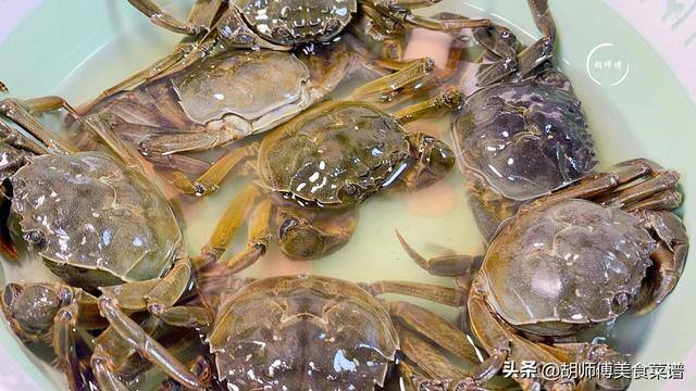 螃蟹怎么养殖方法在家里（保存螃蟹时，万万不可直接放冰箱，放7天都鲜活，还不变瘦！）