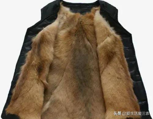养狗挣钱吗（农村养殖肉狗挣钱吗？）