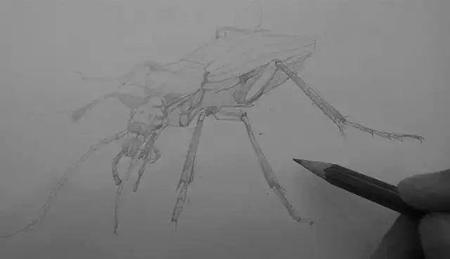 零基础画画（水彩教程｜水彩教程（一））