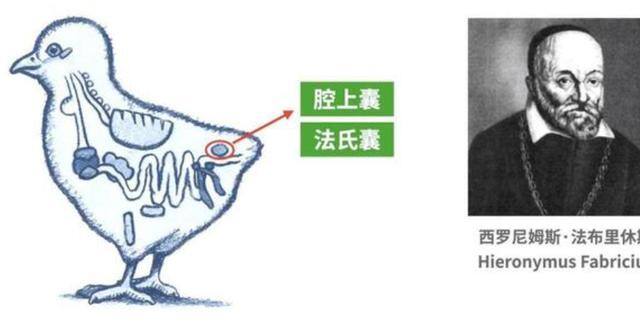 开家小吃店赚钱养娃[美食]（山东大叔摆摊卖鸡屁股，10年销售额上百亿）