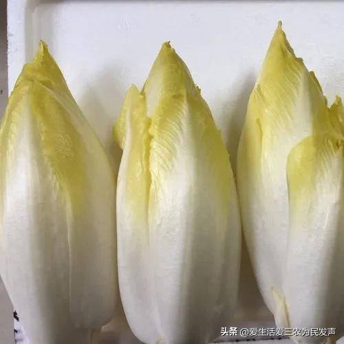 农村种什么最挣钱最快（投资不大，年入十万以上的农村项目）