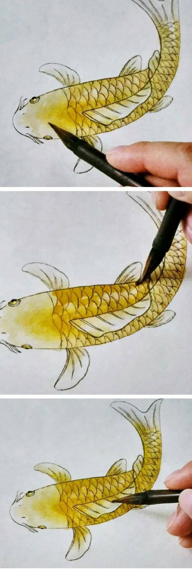 水墨画怎么画简单又漂亮（锦鲤鱼的画法）